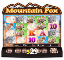 s29.com