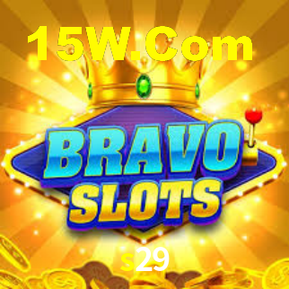 s29 login